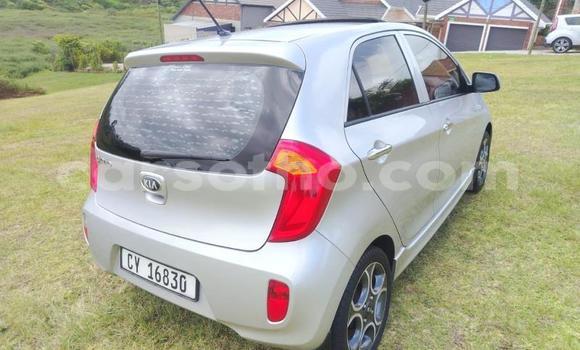 اشتري مستعمل Kia Picanto Silver سيارة في Maseru في Maseru اشتري مستعمل Kia Picanto Silver سيارة في Maseru في Maseru