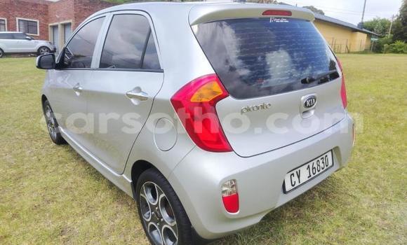 اشتري مستعمل Kia Picanto Silver سيارة في Maseru في Maseru اشتري مستعمل Kia Picanto Silver سيارة في Maseru في Maseru