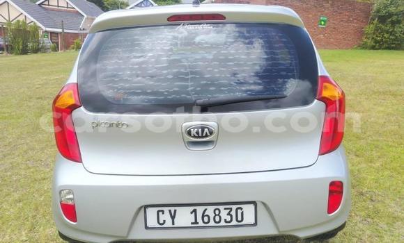 اشتري مستعمل Kia Picanto Silver سيارة في Maseru في Maseru اشتري مستعمل Kia Picanto Silver سيارة في Maseru في Maseru