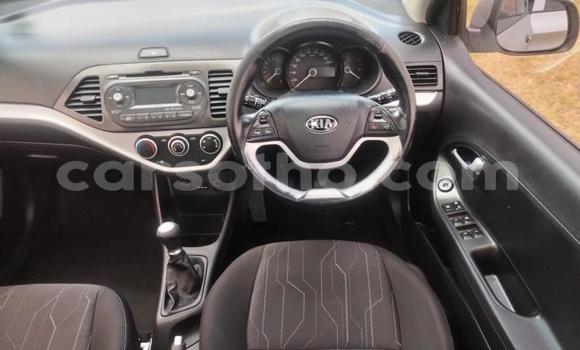 اشتري مستعمل Kia Picanto Silver سيارة في Maseru في Maseru اشتري مستعمل Kia Picanto Silver سيارة في Maseru في Maseru