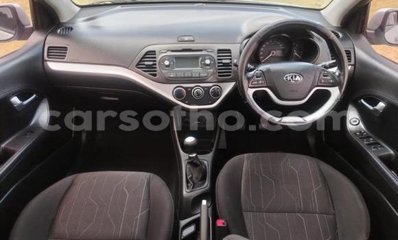 اشتري مستعمل Kia Picanto Silver سيارة في Maseru في Maseru اشتري مستعمل Kia Picanto Silver سيارة في Maseru في Maseru