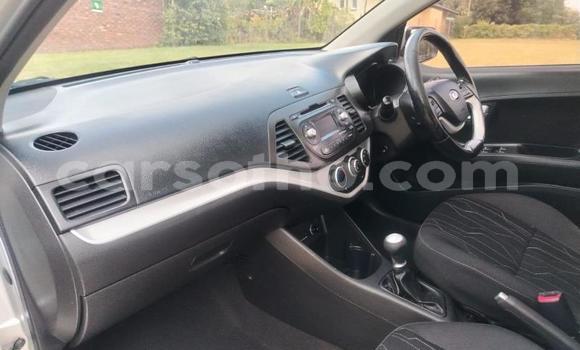 اشتري مستعمل Kia Picanto Silver سيارة في Maseru في Maseru اشتري مستعمل Kia Picanto Silver سيارة في Maseru في Maseru