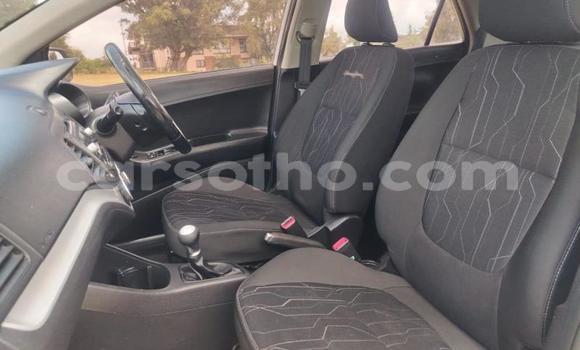 اشتري مستعمل Kia Picanto Silver سيارة في Maseru في Maseru اشتري مستعمل Kia Picanto Silver سيارة في Maseru في Maseru