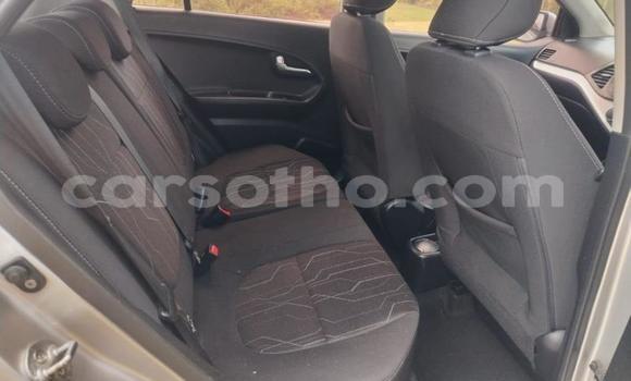 اشتري مستعمل Kia Picanto Silver سيارة في Maseru في Maseru اشتري مستعمل Kia Picanto Silver سيارة في Maseru في Maseru