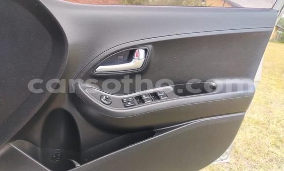 اشتري مستعمل Kia Picanto Silver سيارة في Maseru في Maseru اشتري مستعمل Kia Picanto Silver سيارة في Maseru في Maseru
