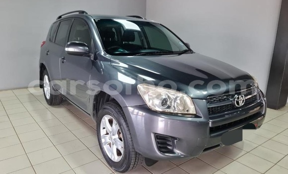 Buy Used Toyota RAV4 Other Car in Maputsoa in Leribe