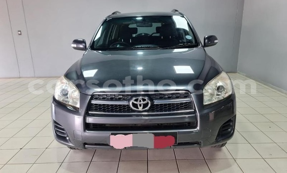 Buy Used Toyota RAV4 Other Car in Maputsoa in Leribe Buy Used Toyota RAV4 Other Car in Maputsoa in Leribe