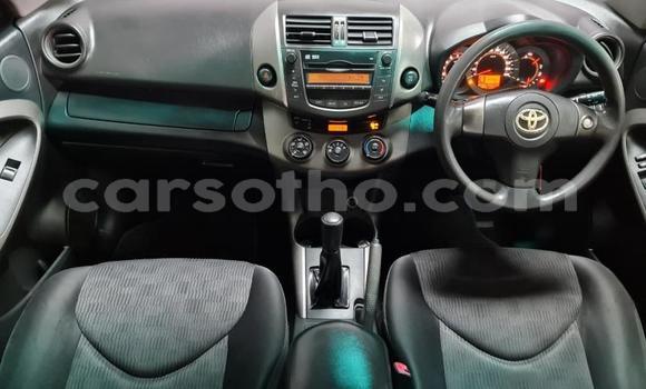 Buy Used Toyota RAV4 Other Car in Maputsoa in Leribe Buy Used Toyota RAV4 Other Car in Maputsoa in Leribe