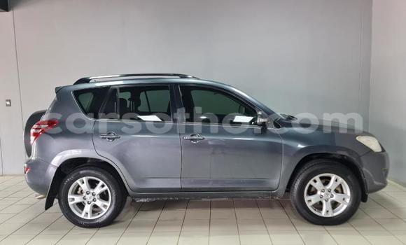 Buy Used Toyota RAV4 Other Car in Maputsoa in Leribe Buy Used Toyota RAV4 Other Car in Maputsoa in Leribe