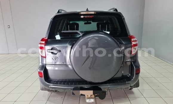 Buy Used Toyota RAV4 Other Car in Maputsoa in Leribe Buy Used Toyota RAV4 Other Car in Maputsoa in Leribe