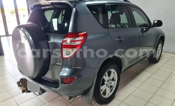 Buy Used Toyota RAV4 Other Car in Maputsoa in Leribe Buy Used Toyota RAV4 Other Car in Maputsoa in Leribe