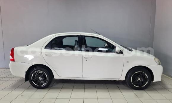 Buy Used Toyota Etios White Car in Roma in Maseru Buy Used Toyota Etios White Car in Roma in Maseru