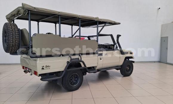 Buy Used Toyota Land Cruiser Beige Car in Quthing in Butha-Buthe Buy Used Toyota Land Cruiser Beige Car in Quthing in Butha-Buthe