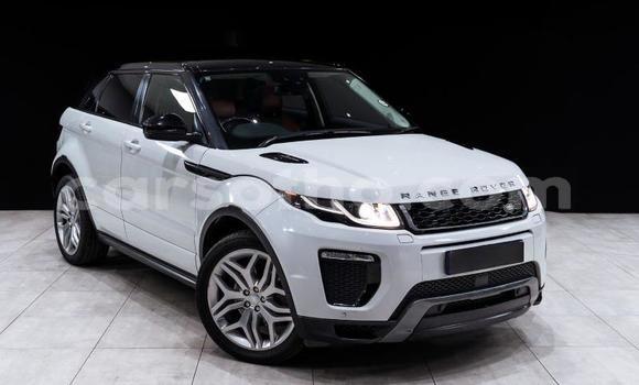 Buy Used Land Rover Range Rover Evoque White Car in Maseru in Maseru Buy Used Land Rover Range Rover Evoque White Car in Maseru in Maseru