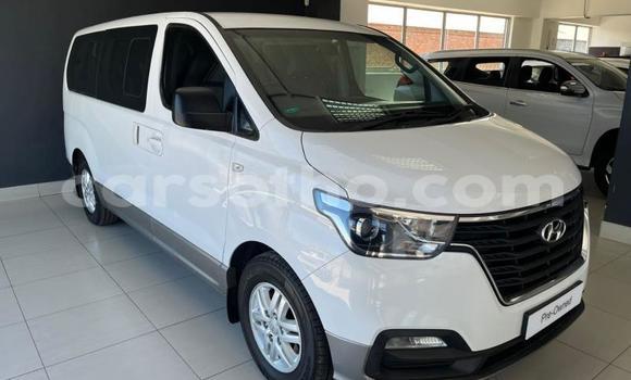 Buy Used Hyundai H1 White Car in Maseru in Maseru Buy Used Hyundai H1 White Car in Maseru in Maseru