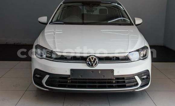 Buy Used Volkswagen Polo White Car in Maseru in Maseru