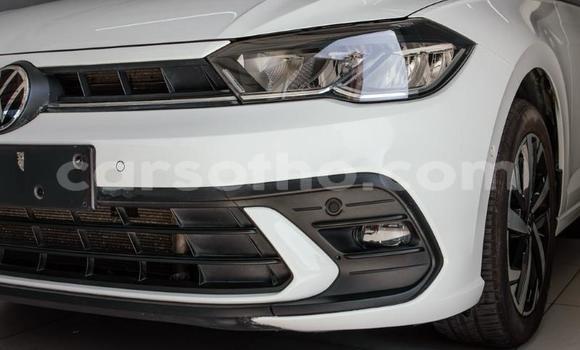 Buy Used Volkswagen Polo White Car in Maseru in Maseru Buy Used Volkswagen Polo White Car in Maseru in Maseru