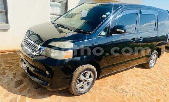 Buy Used Toyota Voxy Other Car in Maseru in Maseru