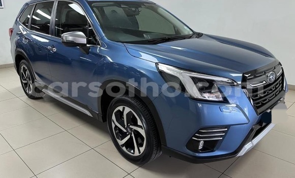 Buy Used Subaru Forester Blue Car in Hlotse in Leribe