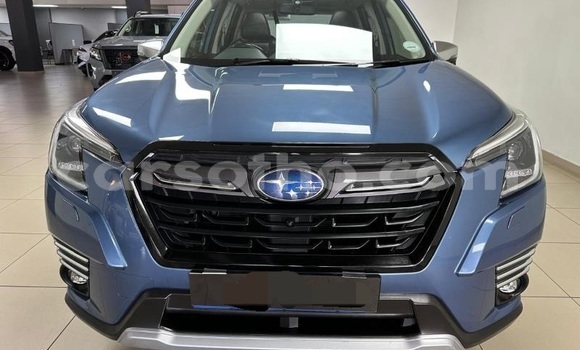 اشتري مستعمل Subaru Forester Blue سيارة في Hlotse في Leribe اشتري مستعمل Subaru Forester Blue سيارة في Hlotse في Leribe