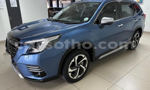 اشتري مستعمل Subaru Forester Blue سيارة في Hlotse في Leribe اشتري مستعمل Subaru Forester Blue سيارة في Hlotse في Leribe