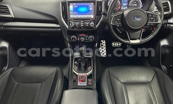 اشتري مستعمل Subaru Forester Blue سيارة في Hlotse في Leribe اشتري مستعمل Subaru Forester Blue سيارة في Hlotse في Leribe