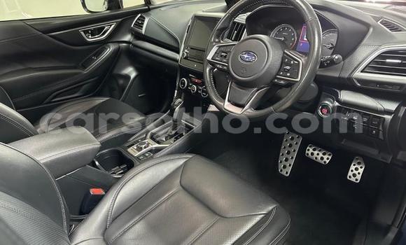 اشتري مستعمل Subaru Forester Blue سيارة في Hlotse في Leribe اشتري مستعمل Subaru Forester Blue سيارة في Hlotse في Leribe
