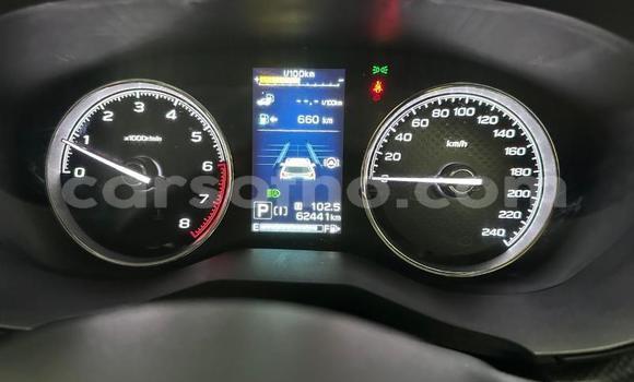 اشتري مستعمل Subaru Forester Blue سيارة في Hlotse في Leribe اشتري مستعمل Subaru Forester Blue سيارة في Hlotse في Leribe