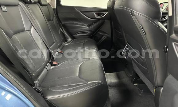 اشتري مستعمل Subaru Forester Blue سيارة في Hlotse في Leribe اشتري مستعمل Subaru Forester Blue سيارة في Hlotse في Leribe