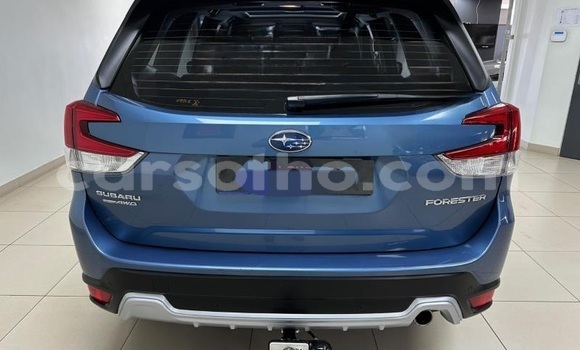 اشتري مستعمل Subaru Forester Blue سيارة في Hlotse في Leribe اشتري مستعمل Subaru Forester Blue سيارة في Hlotse في Leribe