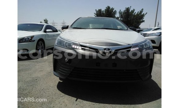 Sayi Imported Toyota Corolla Other Mota in Import - Dubai a Maseru Sayi Imported Toyota Corolla Other Mota in Import - Dubai a Maseru