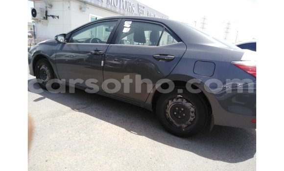 Sayi Imported Toyota Corolla Other Mota in Import - Dubai a Maseru Sayi Imported Toyota Corolla Other Mota in Import - Dubai a Maseru
