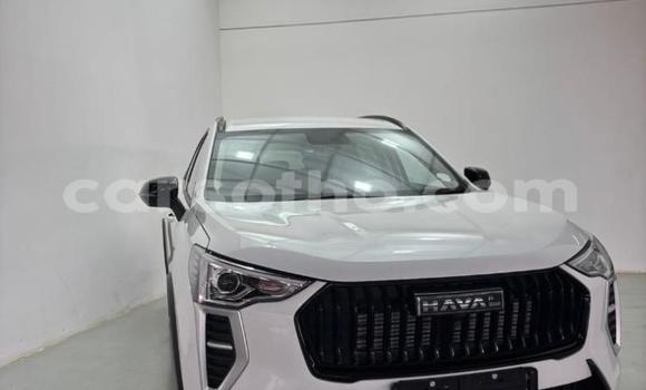 Buy Used Haval H9 White Car in Import - Dubai in Maseru