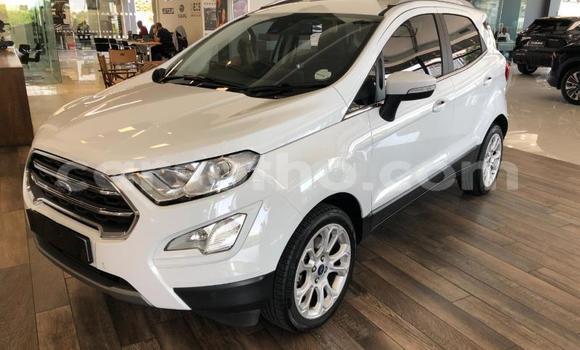 Buy Used Ford EcoSport White Car in Maseru in Maseru Buy Used Ford EcoSport White Car in Maseru in Maseru