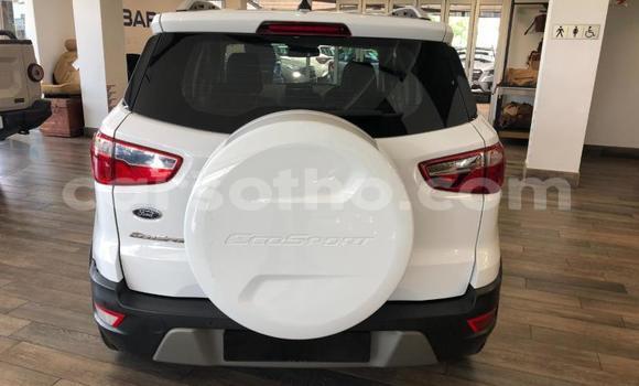 Buy Used Ford EcoSport White Car in Maseru in Maseru Buy Used Ford EcoSport White Car in Maseru in Maseru