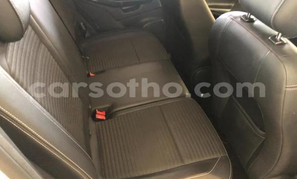 Buy Used Ford EcoSport White Car in Maseru in Maseru Buy Used Ford EcoSport White Car in Maseru in Maseru