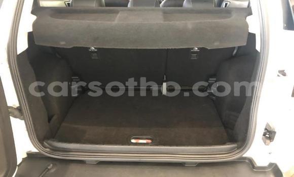 Buy Used Ford EcoSport White Car in Maseru in Maseru Buy Used Ford EcoSport White Car in Maseru in Maseru