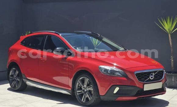 Buy Used Volvo V40 Cross Country Red Car in Maseru in Maseru Buy Used Volvo V40 Cross Country Red Car in Maseru in Maseru