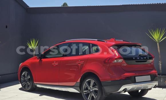 Buy Used Volvo V40 Cross Country Red Car in Maseru in Maseru Buy Used Volvo V40 Cross Country Red Car in Maseru in Maseru