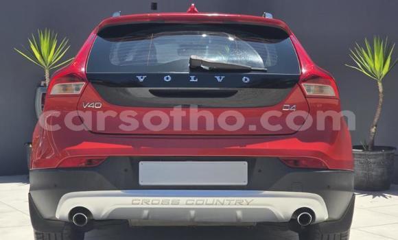 Buy Used Volvo V40 Cross Country Red Car in Maseru in Maseru Buy Used Volvo V40 Cross Country Red Car in Maseru in Maseru
