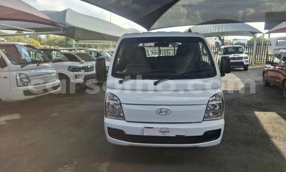 Buy Used Hyundai H200 White Car in Maseru in Maseru