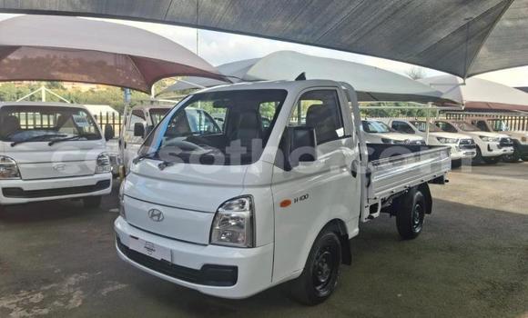 Buy Used Hyundai H200 White Car in Maseru in Maseru Buy Used Hyundai H200 White Car in Maseru in Maseru