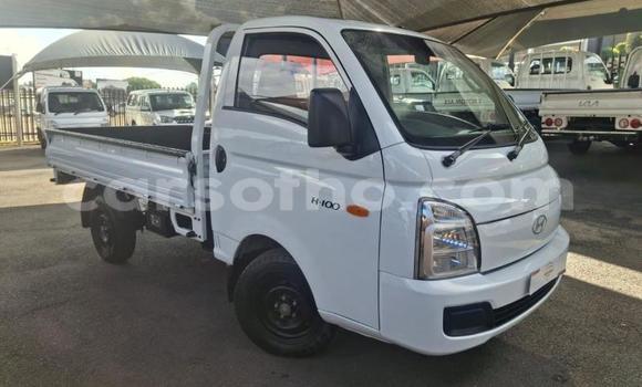 Buy Used Hyundai H200 White Car in Maseru in Maseru Buy Used Hyundai H200 White Car in Maseru in Maseru