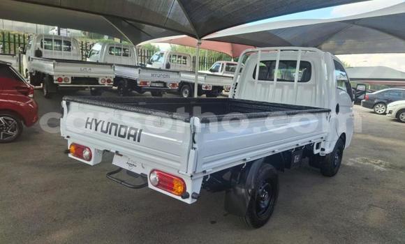 Buy Used Hyundai H200 White Car in Maseru in Maseru Buy Used Hyundai H200 White Car in Maseru in Maseru
