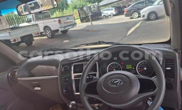 Buy Used Hyundai H200 White Car in Maseru in Maseru Buy Used Hyundai H200 White Car in Maseru in Maseru