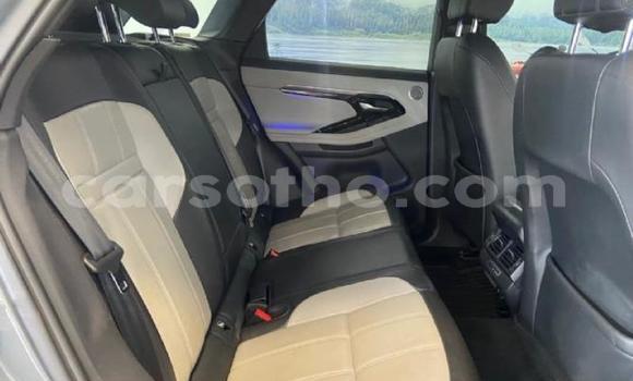 Buy Used Land Rover Range Rover Evoque Other Car in Maseru in Maseru Buy Used Land Rover Range Rover Evoque Other Car in Maseru in Maseru