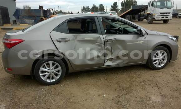 Buy Used Toyota Corolla Other Car in Mafeteng in Mafeteng