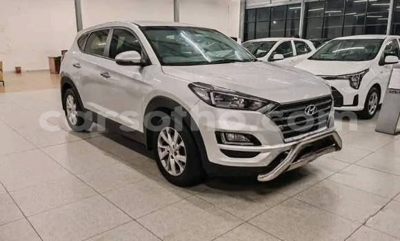 Buy Used Hyundai Tucson White Car in Maseru in Maseru Buy Used Hyundai Tucson White Car in Maseru in Maseru