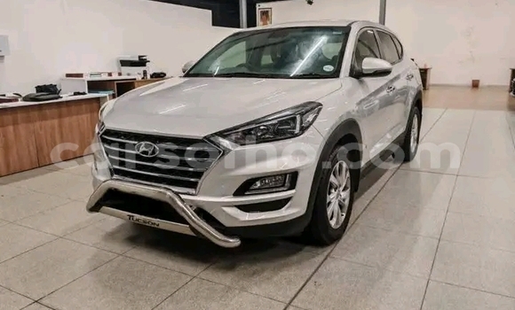 Buy Used Hyundai Tucson White Car in Maseru in Maseru Buy Used Hyundai Tucson White Car in Maseru in Maseru