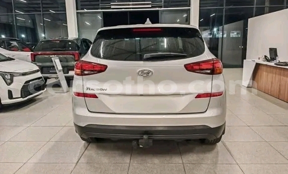 Buy Used Hyundai Tucson White Car in Maseru in Maseru Buy Used Hyundai Tucson White Car in Maseru in Maseru